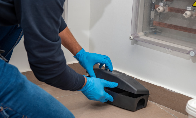 Protecting Homes and Health: The Role of Local Exterminators in Chelmsford