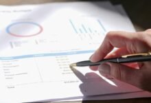 risk summary and reports